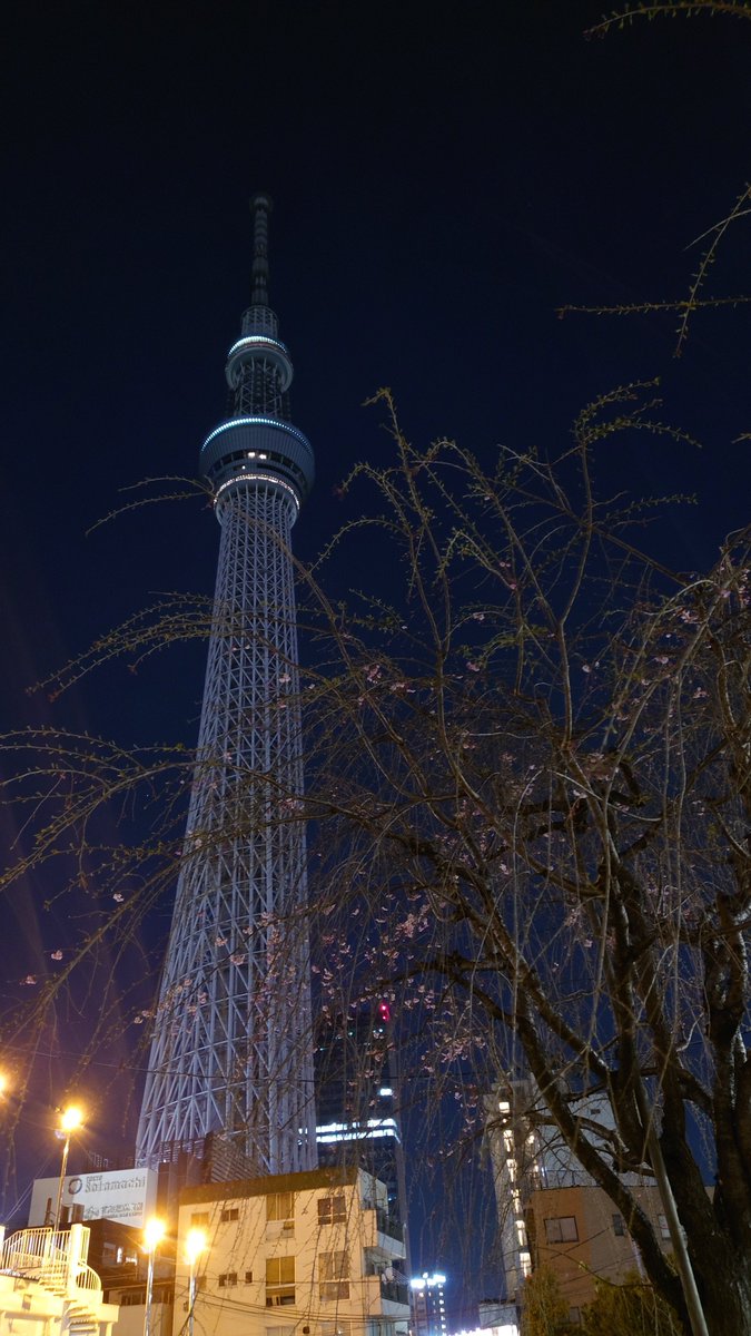 ストラ tweet media