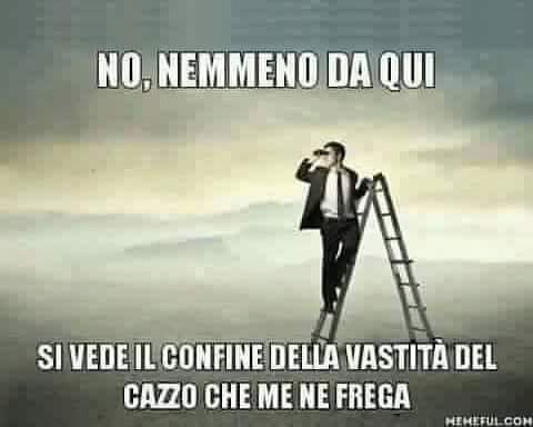 non allineato tweet media