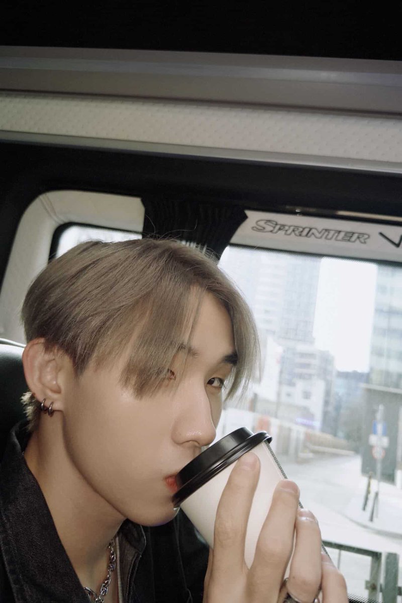 megs🐾 tweet media