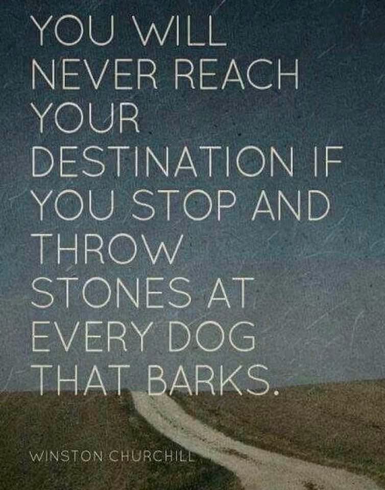 Trace Marl tweet media