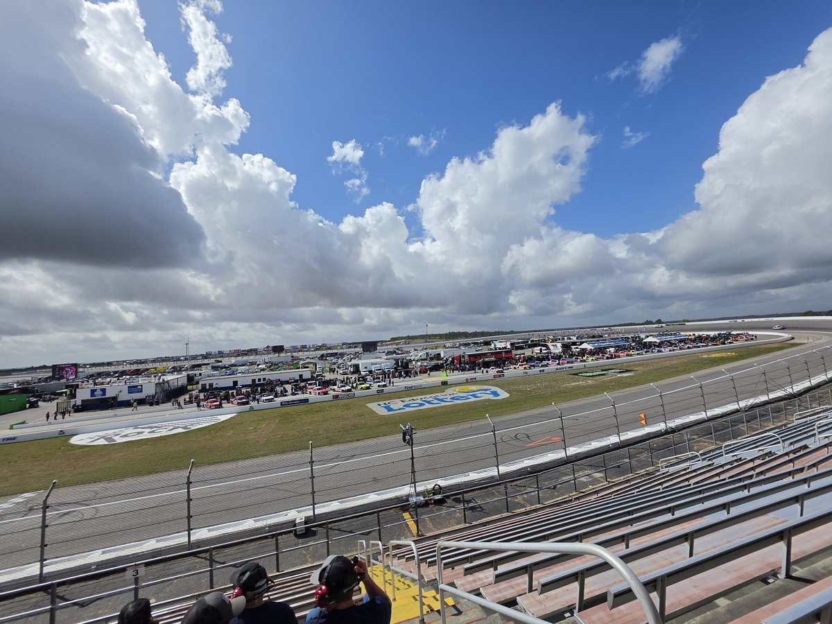 Terra Jones tweet media