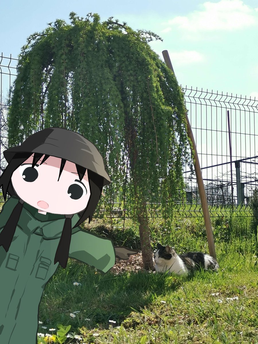 nikyobi's tweet photo. ぴろぴろぴろ。。。 #チト　#少女終末旅行　#イラスト https://t.co/WfTSbviN2Y
