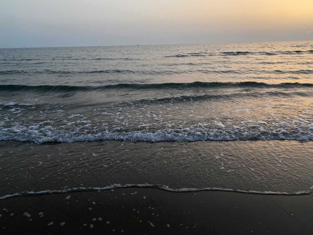 sushi or sus tweet media