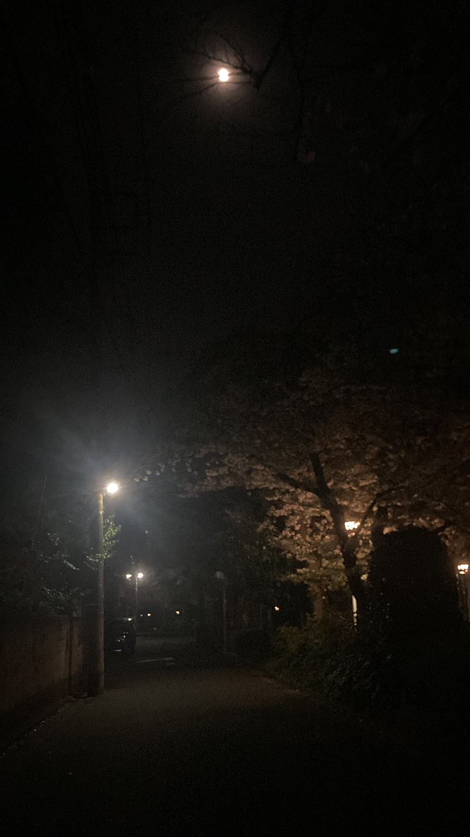 ゆうきゅー🦌🌟 tweet media