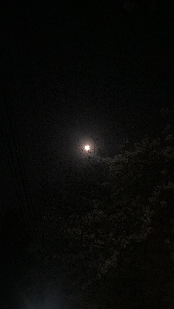 ゆうきゅー🦌🌟 tweet media