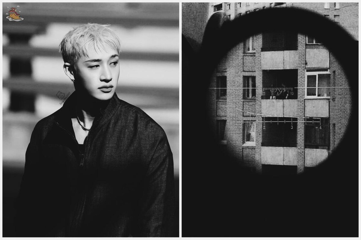 SOC-IE 💛 ˚☽˚.⋆ tweet media