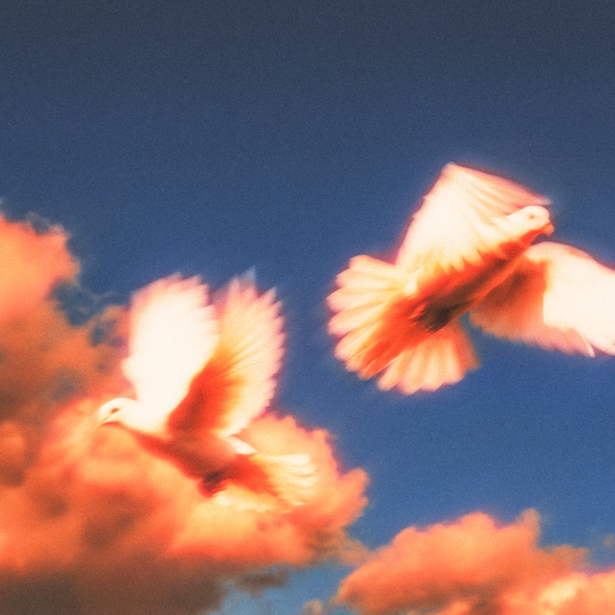 TheDramaDuo's tweet image. We love a good ol Fashion Home Town Collaboration,
This one is for Chicago Girlies. 
Platonic Romance - AZZECCA Remix - Out Now! 
#DRAMA #AZZECA #GIRLPOWER ❤️‍🔥