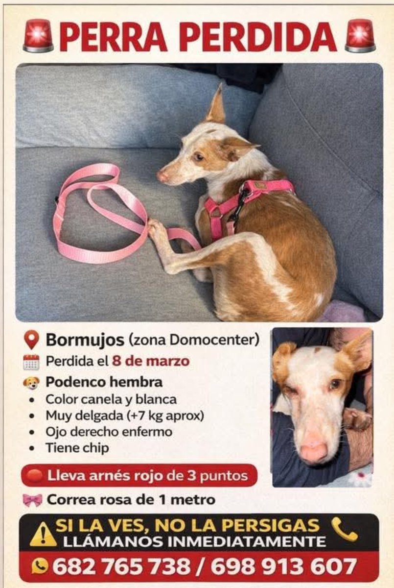 Manu Burk. tweet media