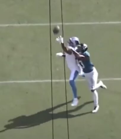 xavi🐈⬛ 🍃 tweet media