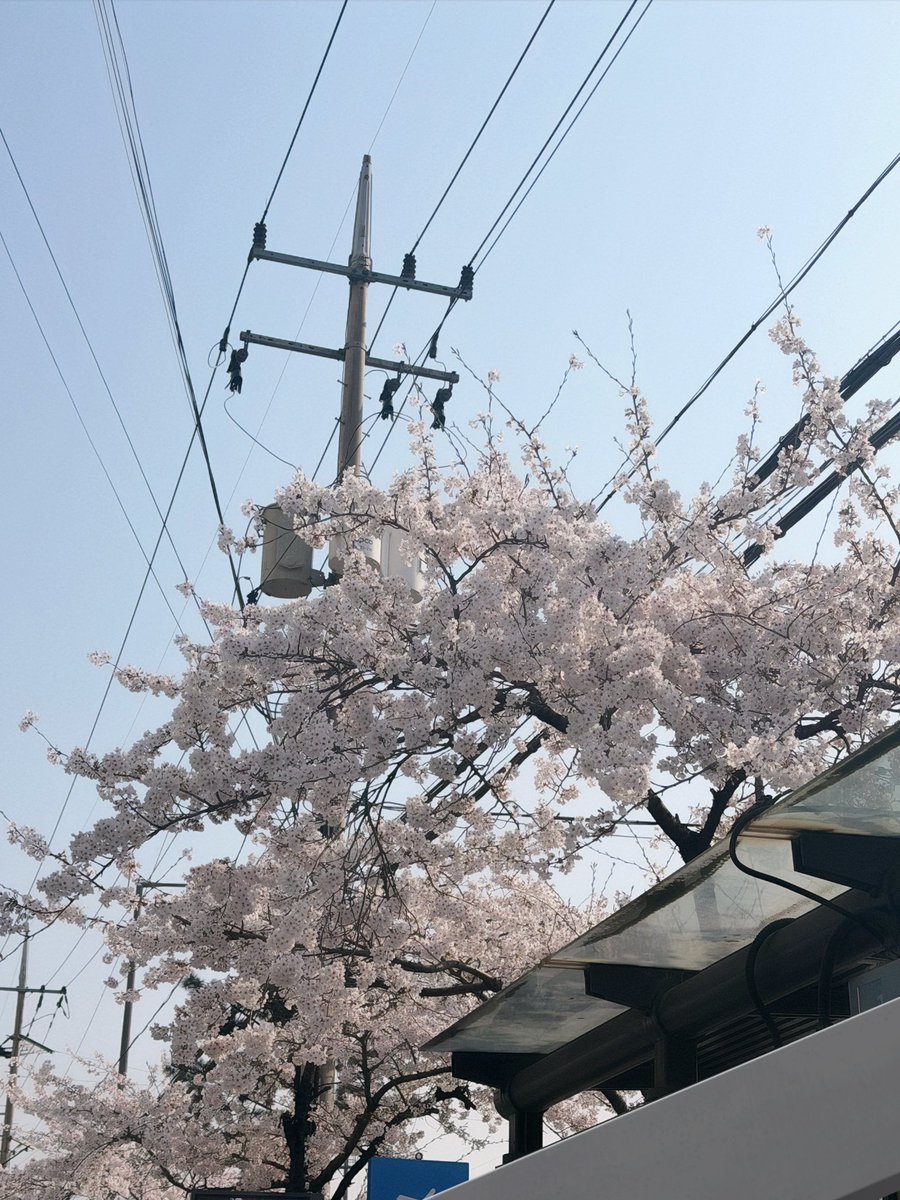 ᧔♡᧓˚⋆ tweet media