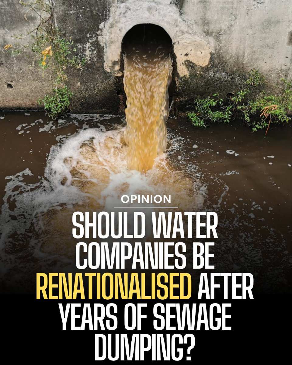 The Daily Britain tweet media