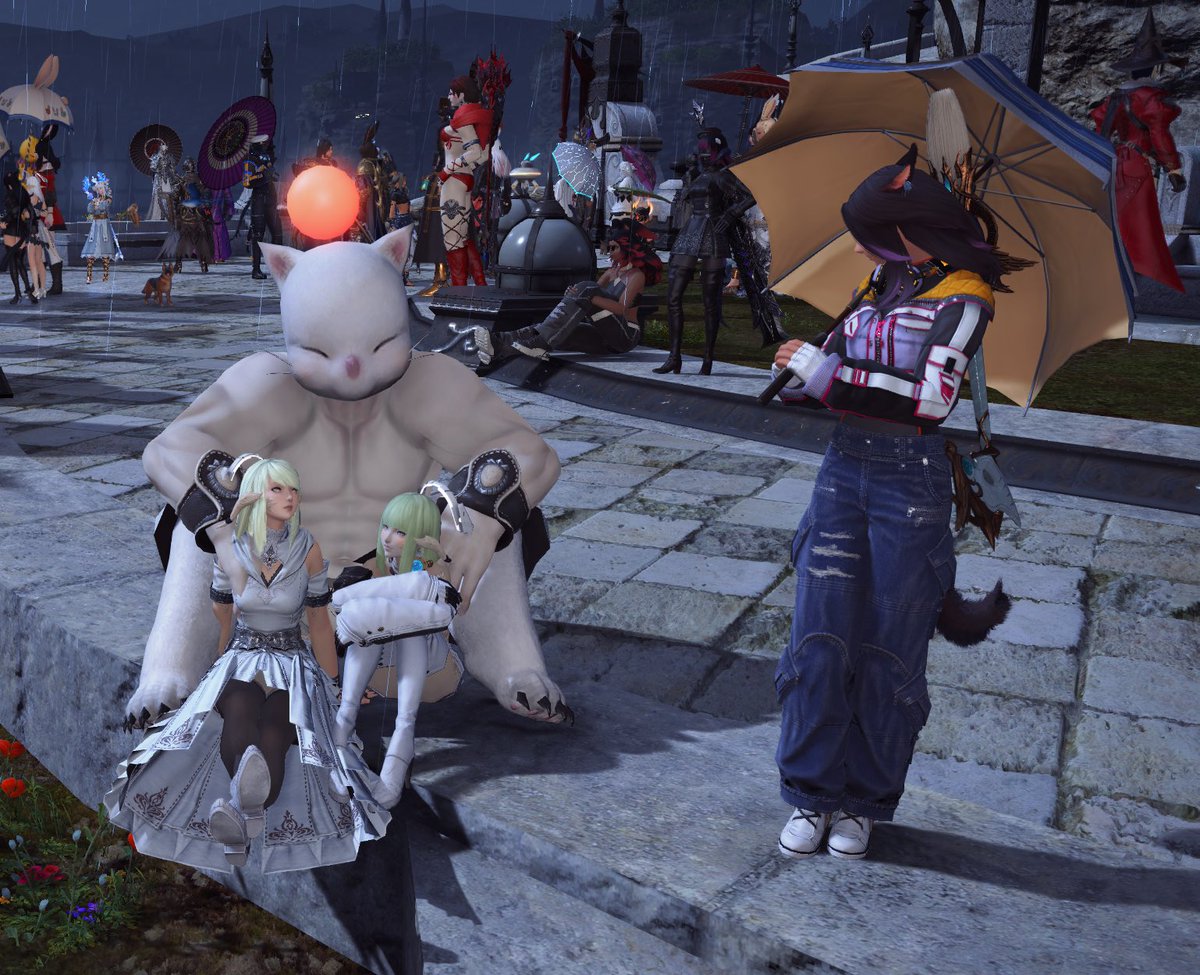 ✦ meg ✦ 🐇🪽 tweet media