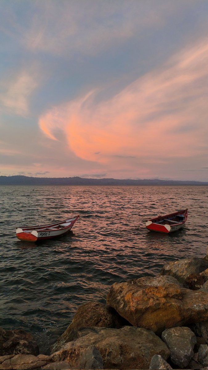 Luis Montero tweet media