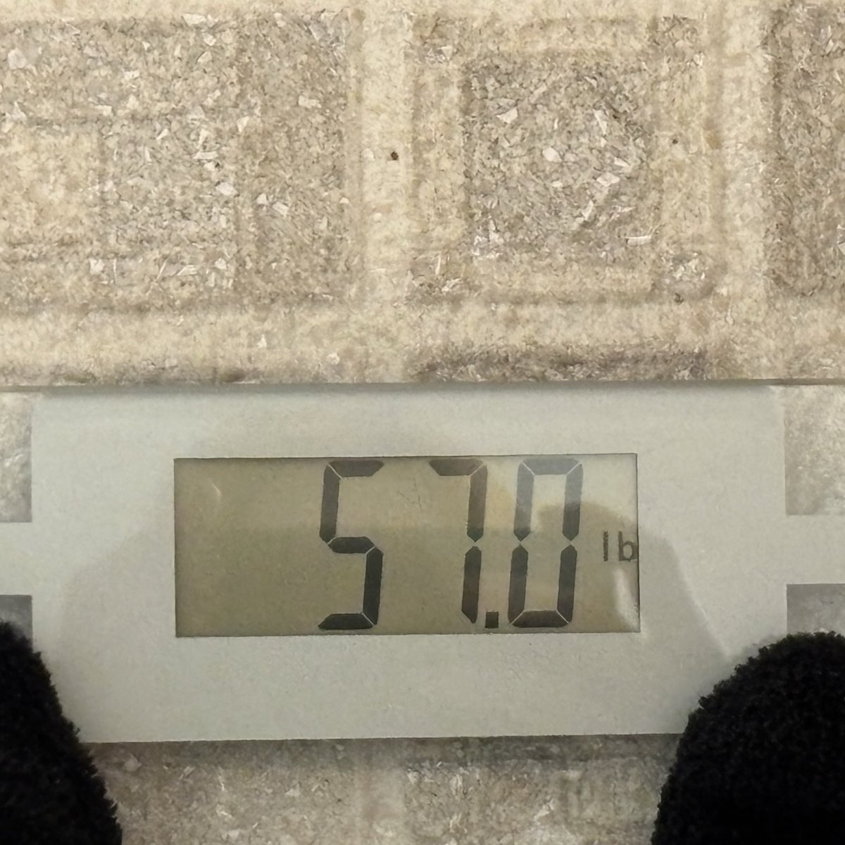 Grunge Hippie tweet media