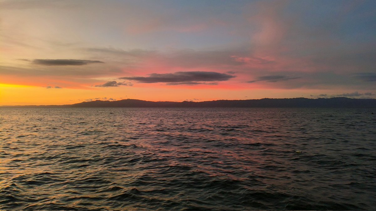 Luis Montero tweet media