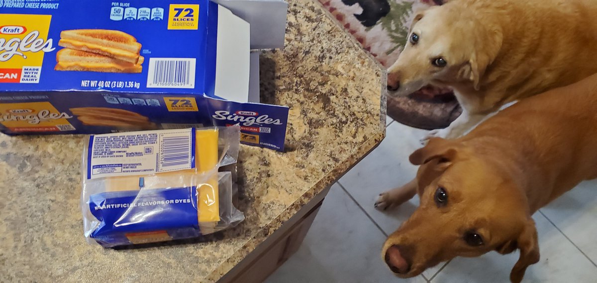 Inland K9 SAR tweet media