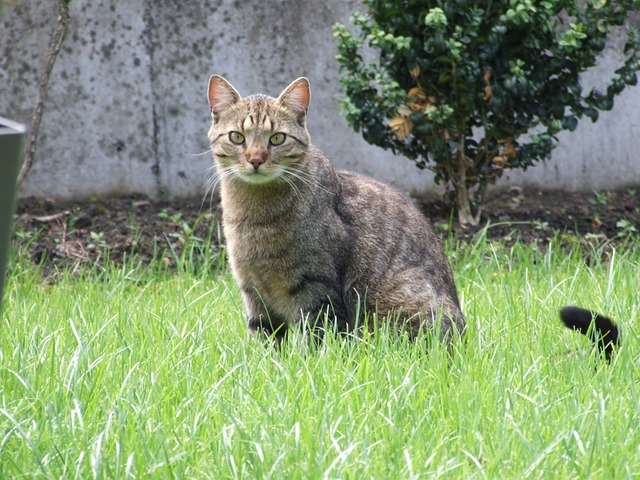 Amanda Wayman tweet media