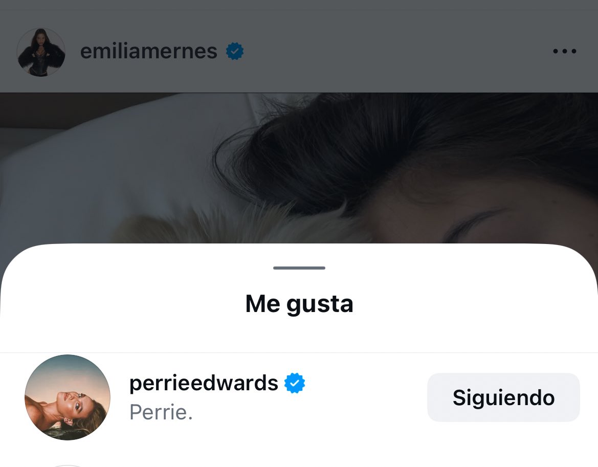 RELOQUIRI 2.0 🦋 tweet media