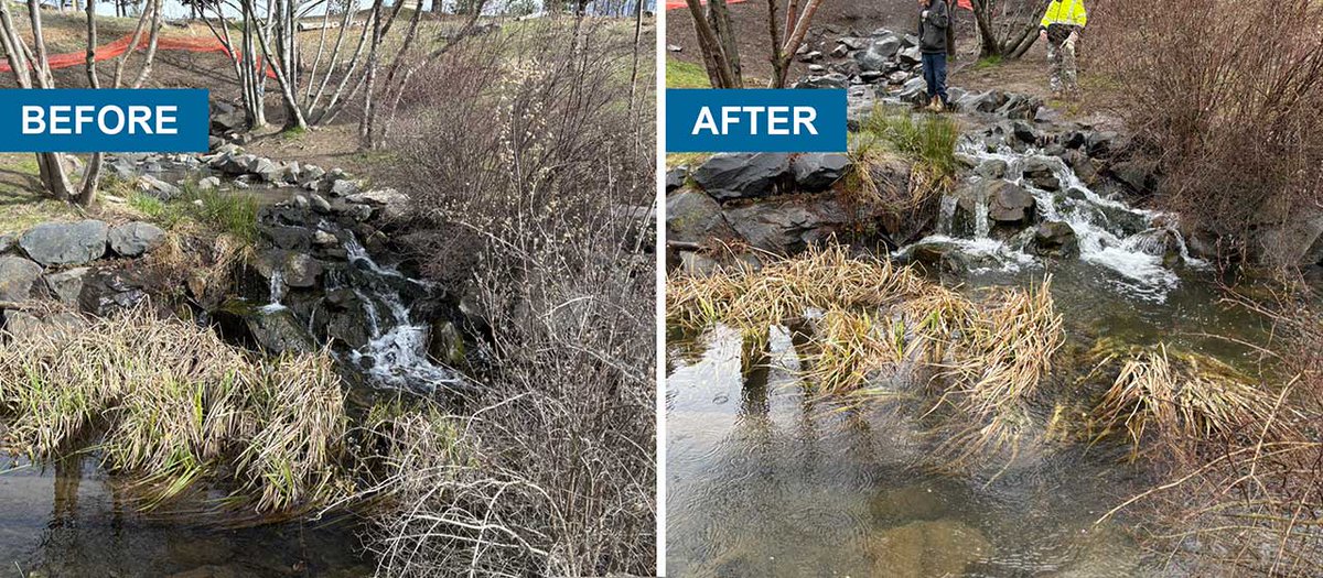 RiverfrontSpo's tweet photo. Beet juice in a sewer pipe? Yep! 🍠🛠️
Crews used 300 gallons of it to keep a new pipe weighed down while sealing and restoring the line. And once the repair wrapped up, a nearby stream got a healthy boost in water flow. Win‑win. 🤝
https://t.co/RgFMrkSV5J https://t.co/KYVSu8Mz2v
