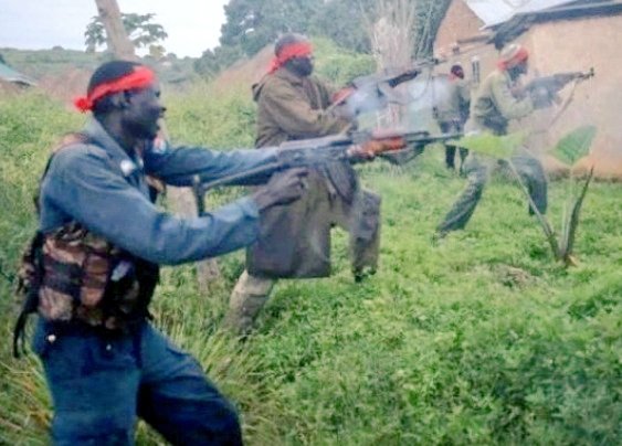 Mirrep II 🐑 tweet media