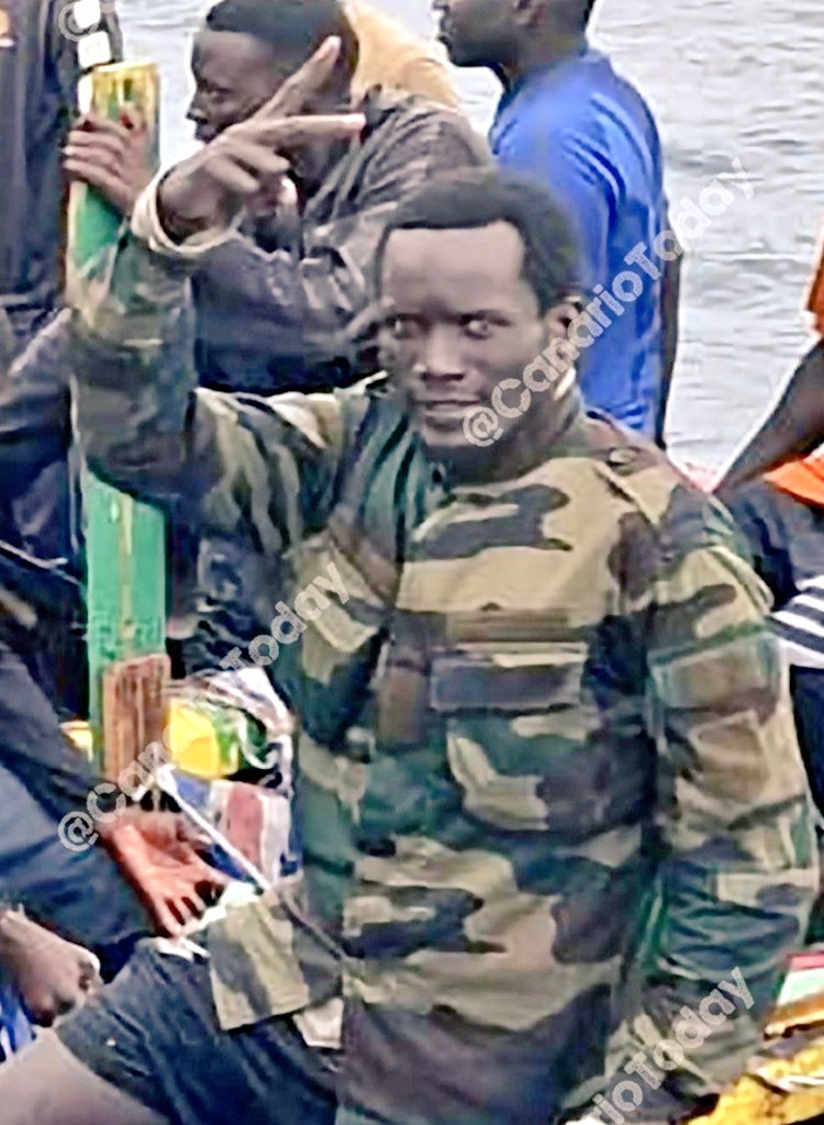 Mirrep II 🐑 tweet media