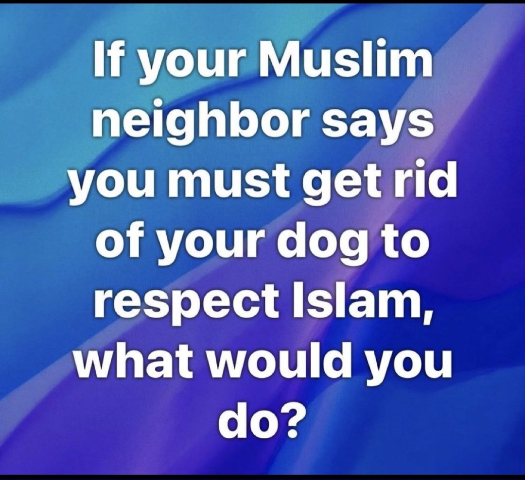 LEE BRITISH PATRIOT. tweet media