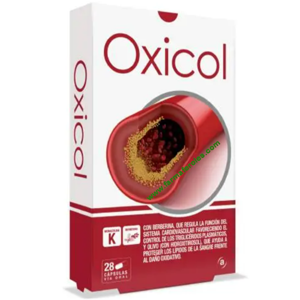 Javier Hernández 🇮🇨 tweet media