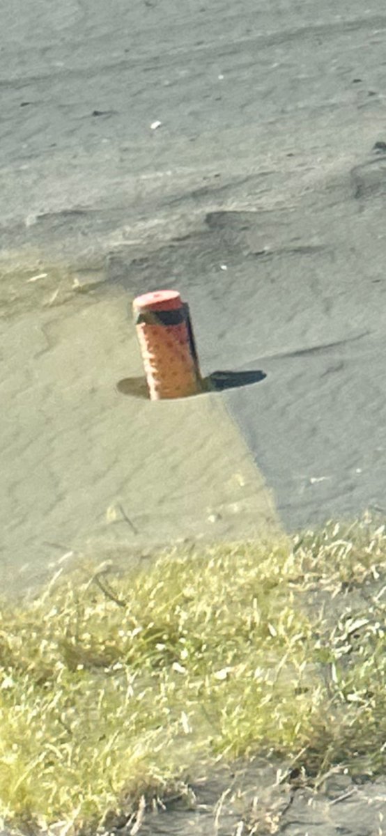 What kind of farming is dis?