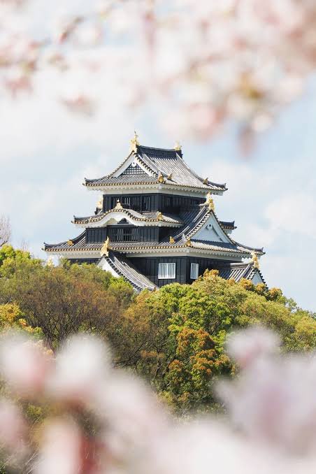 🇯🇵星空音夢🇯🇵チーズ警察👮 tweet media