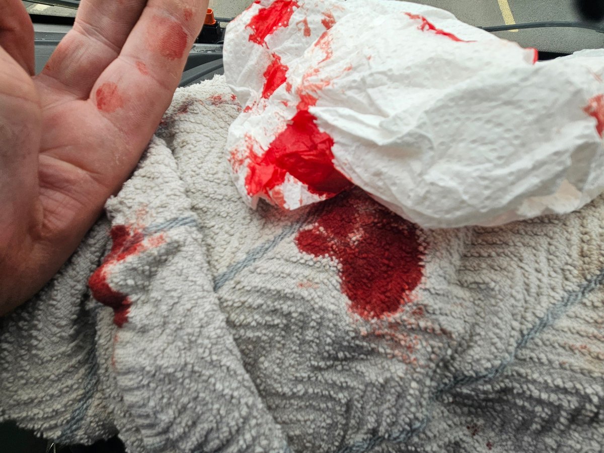 Donna Rachel 🕊️ tweet media