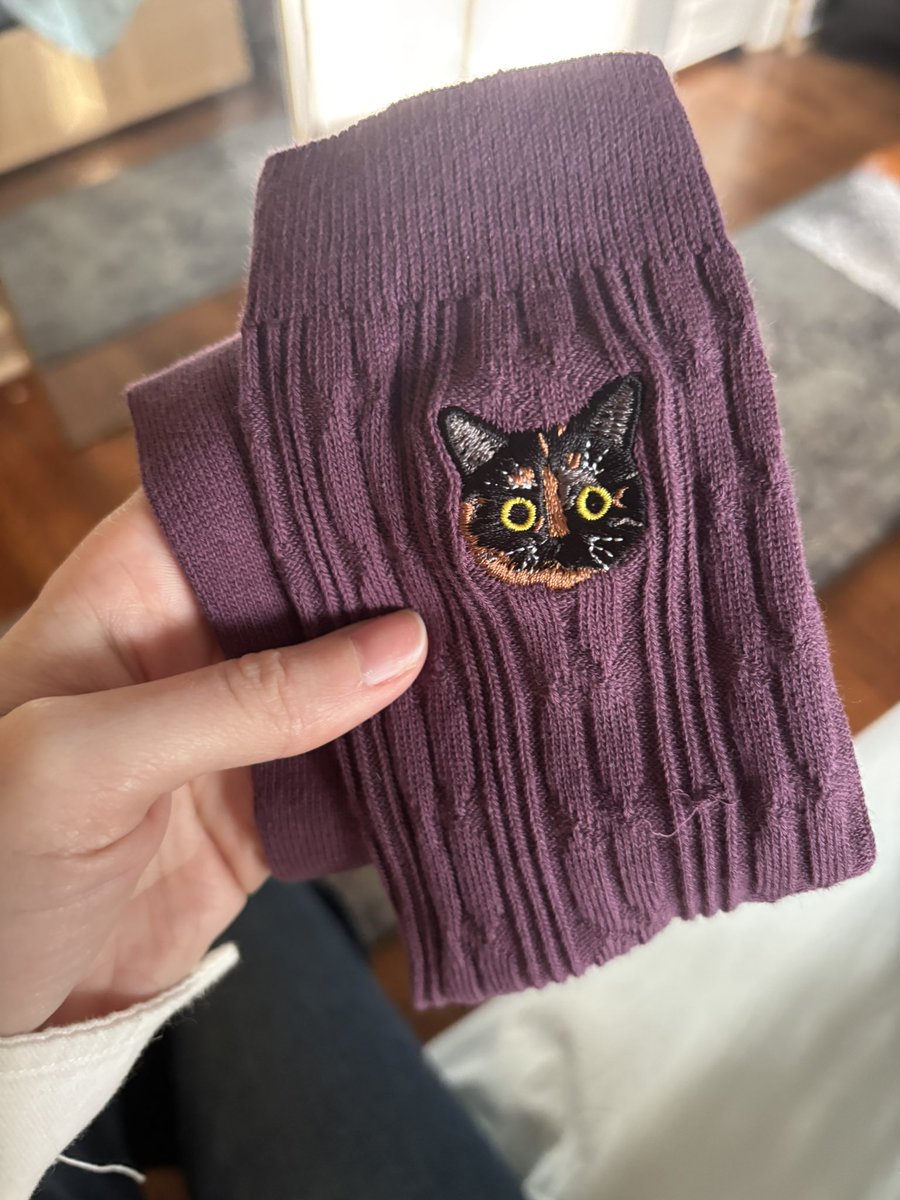 Amanda Killian tweet media