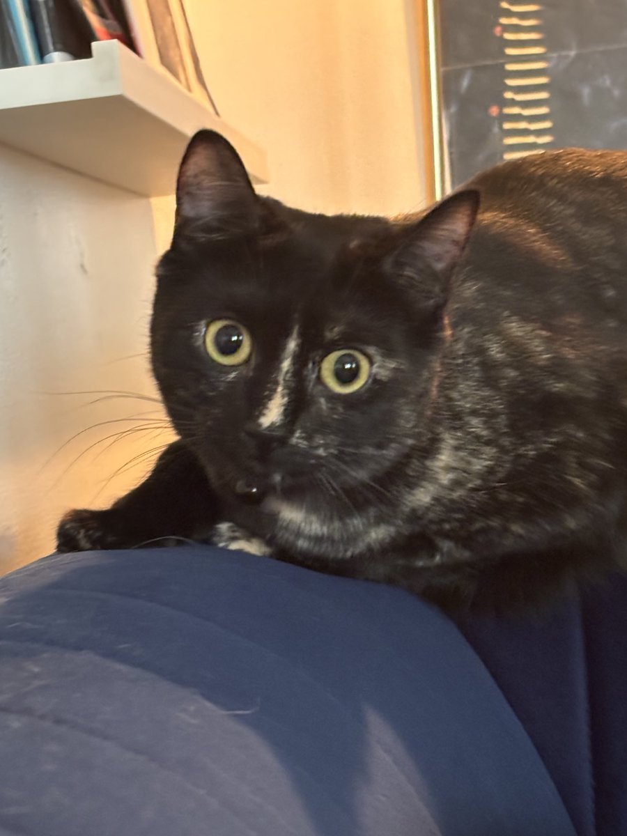 Amanda Killian tweet media