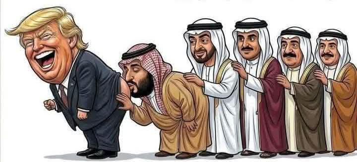 Tabish abass Pathan 🏴 tweet media