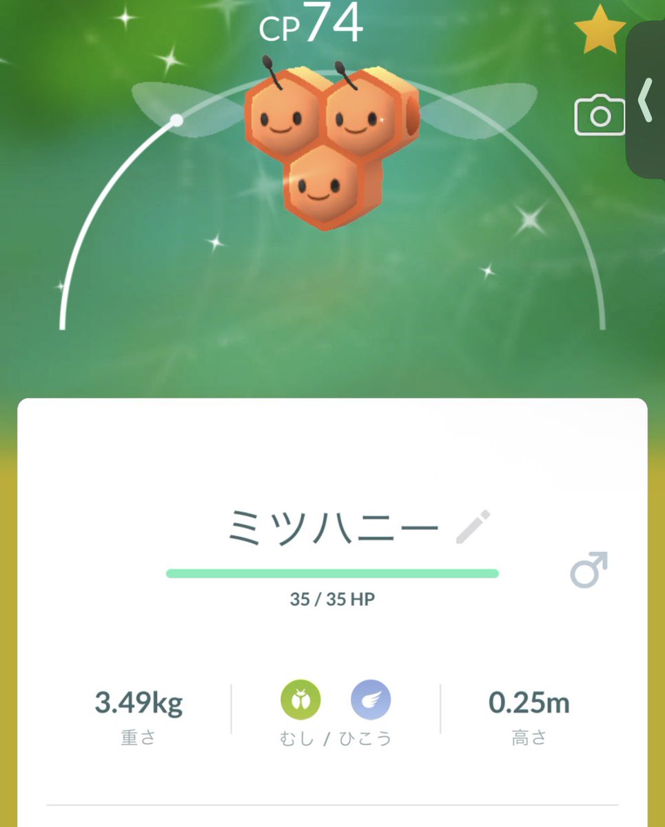 580rk's tweet photo. 全然載せられてなかったパート3
#ポケモンGO 
#ポケモンGO好きと繋がりたい 
#ポケモンGO色違い
#���ツベイ
#ミツハニー
#フシギソウ https://t.co/G1hLr7cDDS