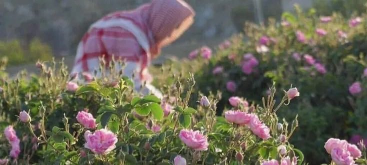 alsamt_19's tweet photo. من رَعتهُ عينُ اللّٰه، لن تَضرَّه أعيُن الخَلق💓 https://t.co/6gumqM5XSK