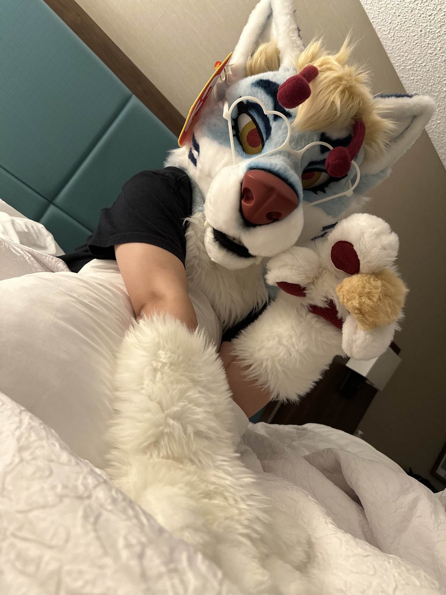 🩵 Jupiter 🔜 FURLANDIA tweet media