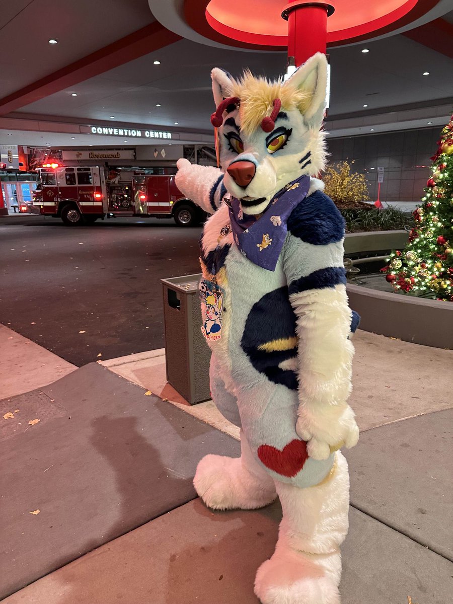 🩵 Jupiter 🔜 FURLANDIA tweet media