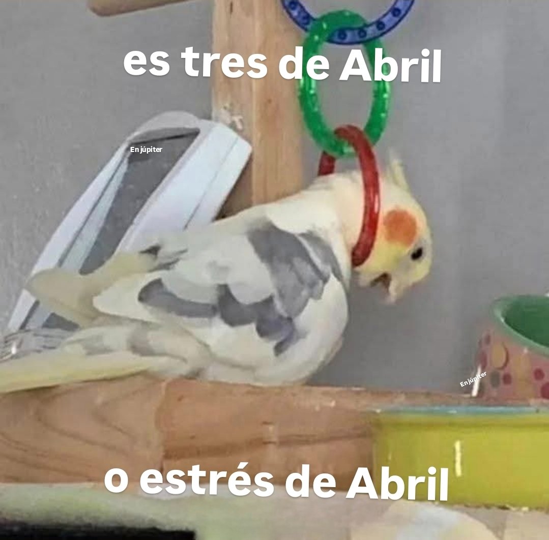 En Júpiter tweet media