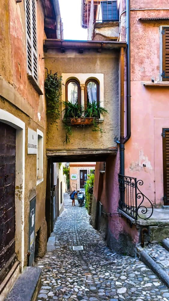 Ramiro 🎵🎶🎵 tweet media