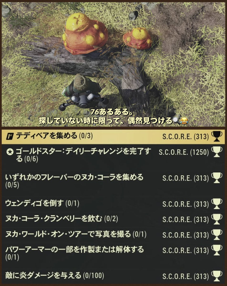 🌳ネムの嬉(ネムノキ)🌳 tweet media