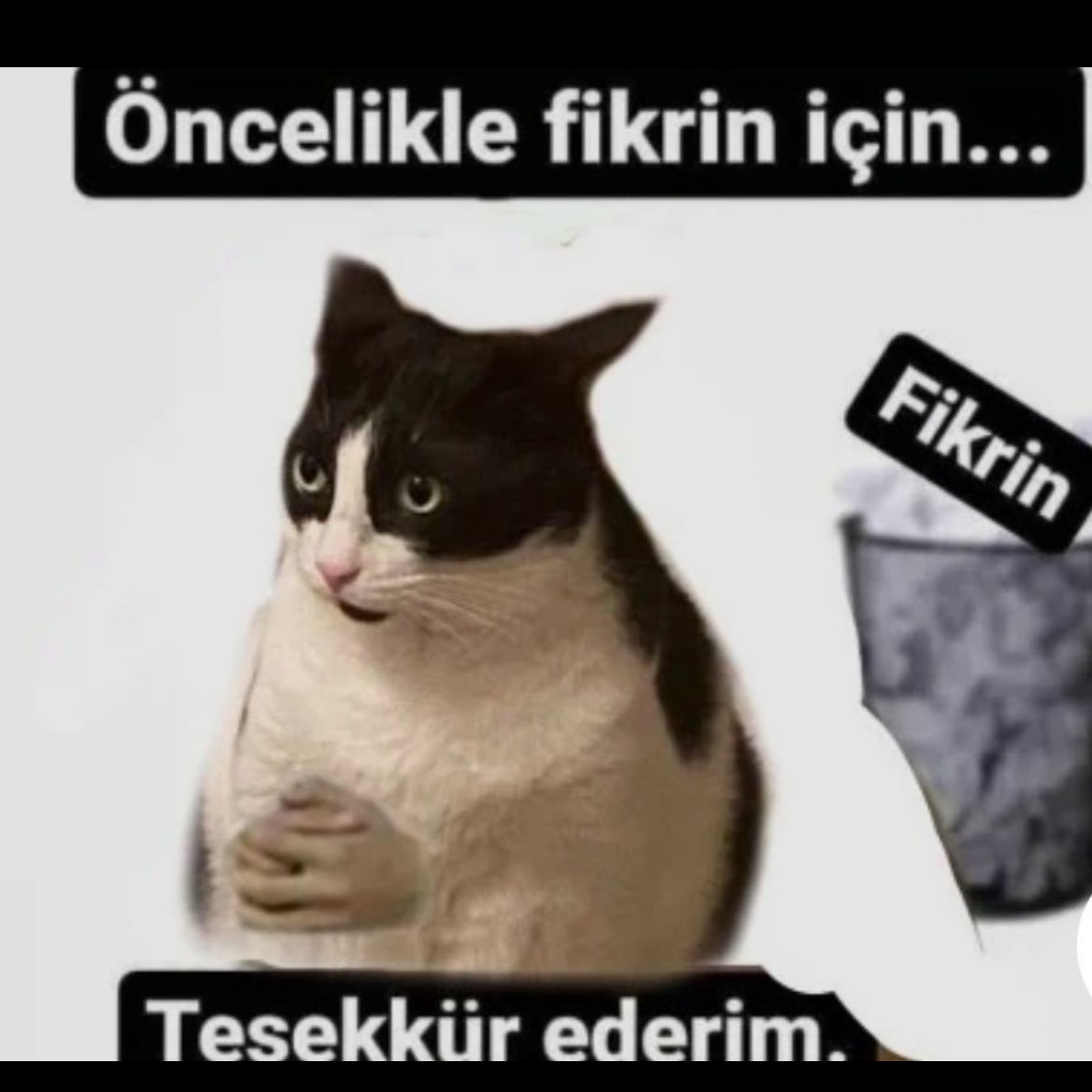 Qırmızı bash💋 tweet media