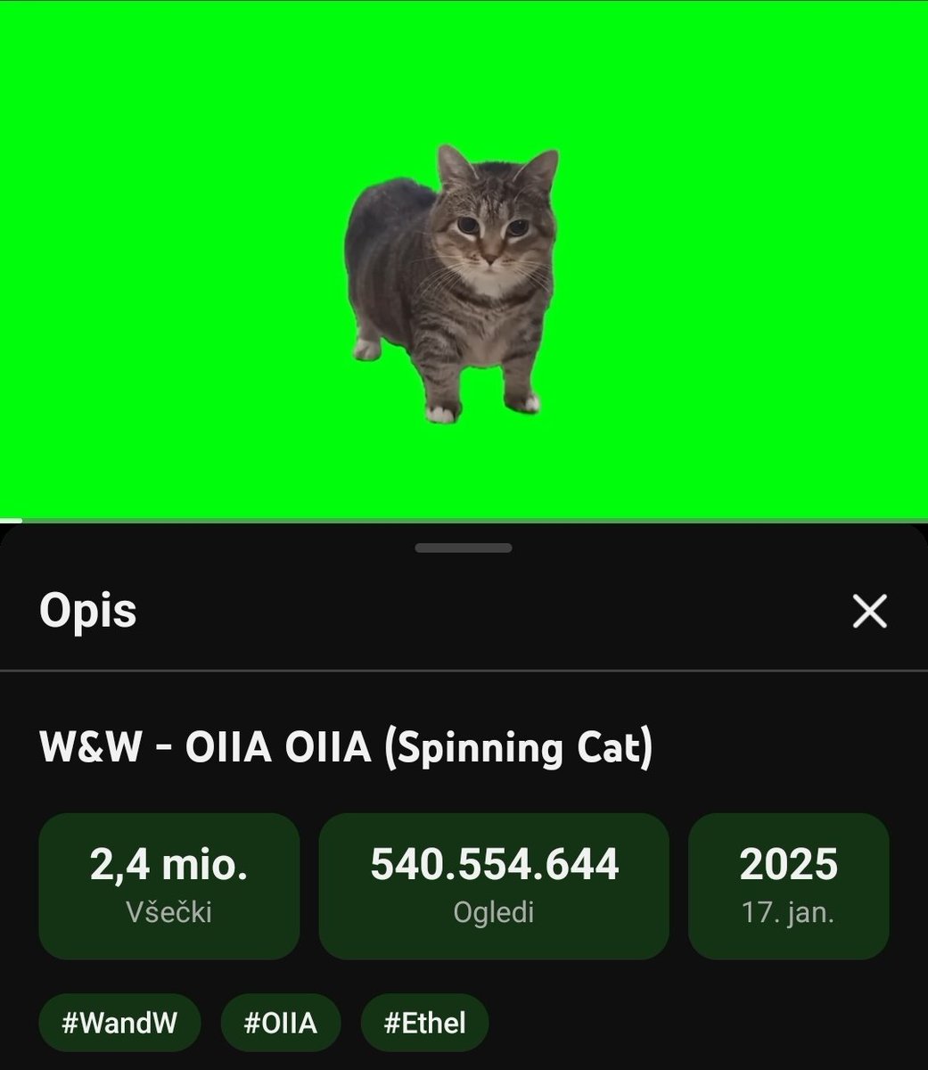 Tinki♻️🐱 tweet media