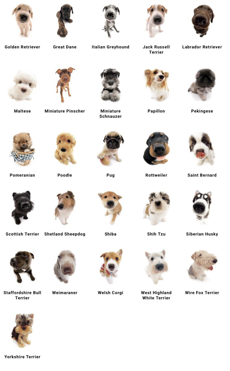 🔞 kenzo 🫀🦌 (shop reopening 25/04) tweet media