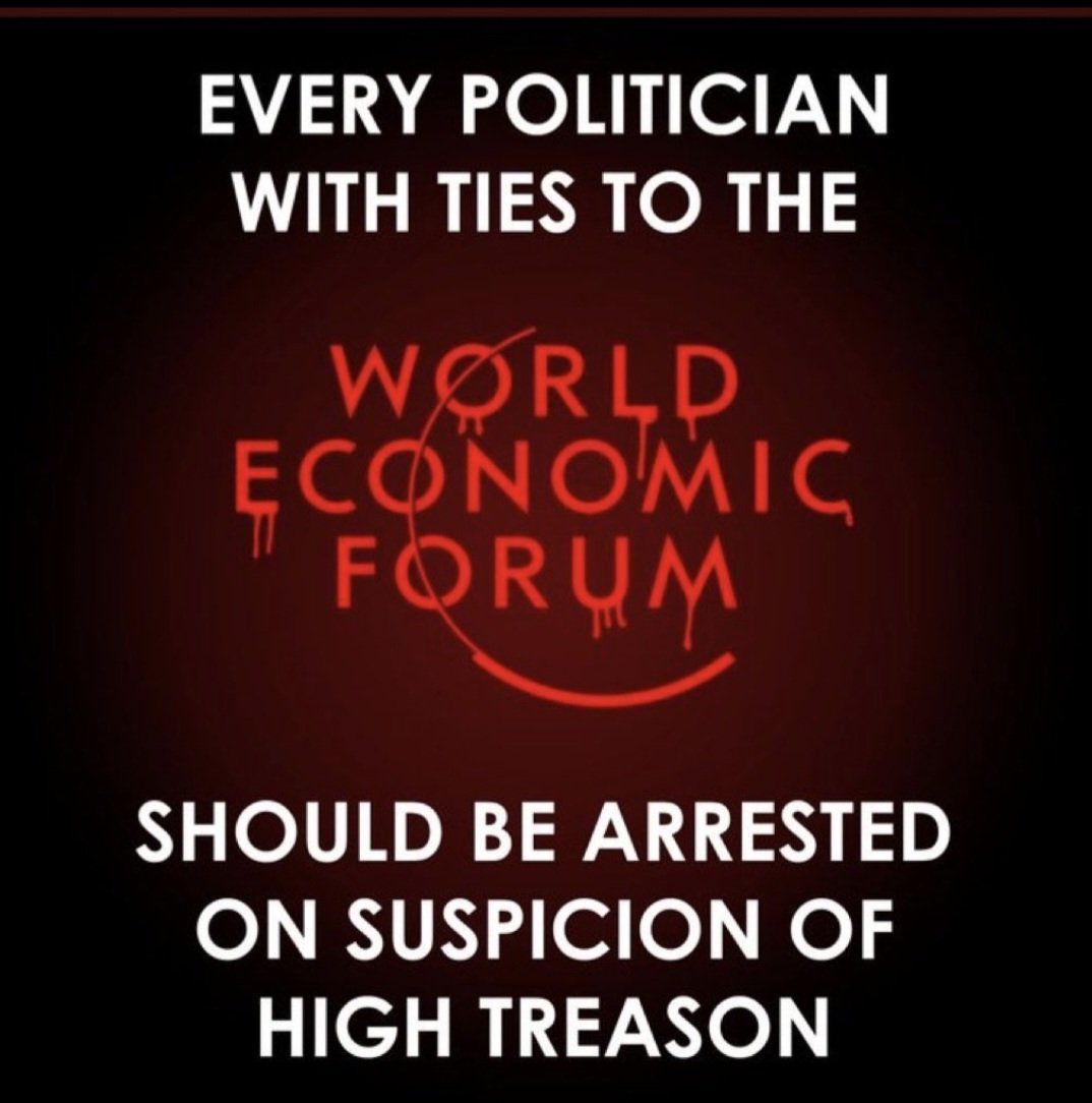 LEE BRITISH PATRIOT. tweet media