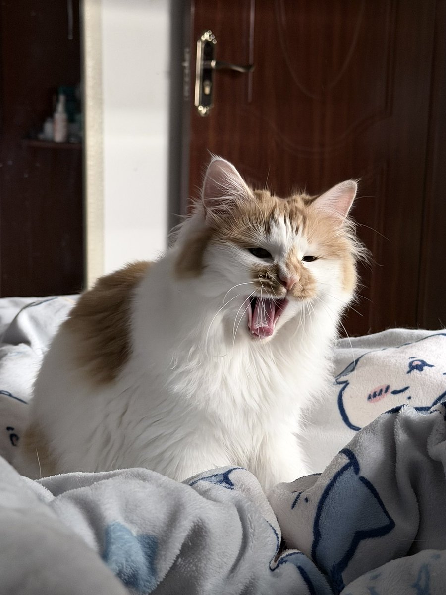 猛啃翘屁嫩男大腚反被捆 tweet media