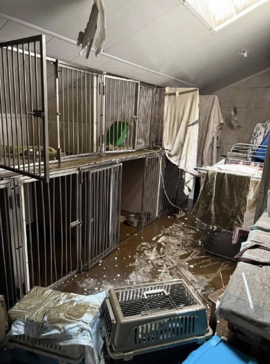 Selena, Rabbit-hole diver 🕳 tweet media