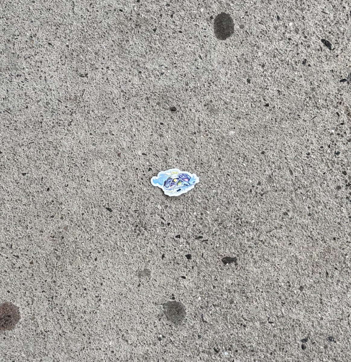 𝗳𝗹𝗯𝗿𝗲! tweet media