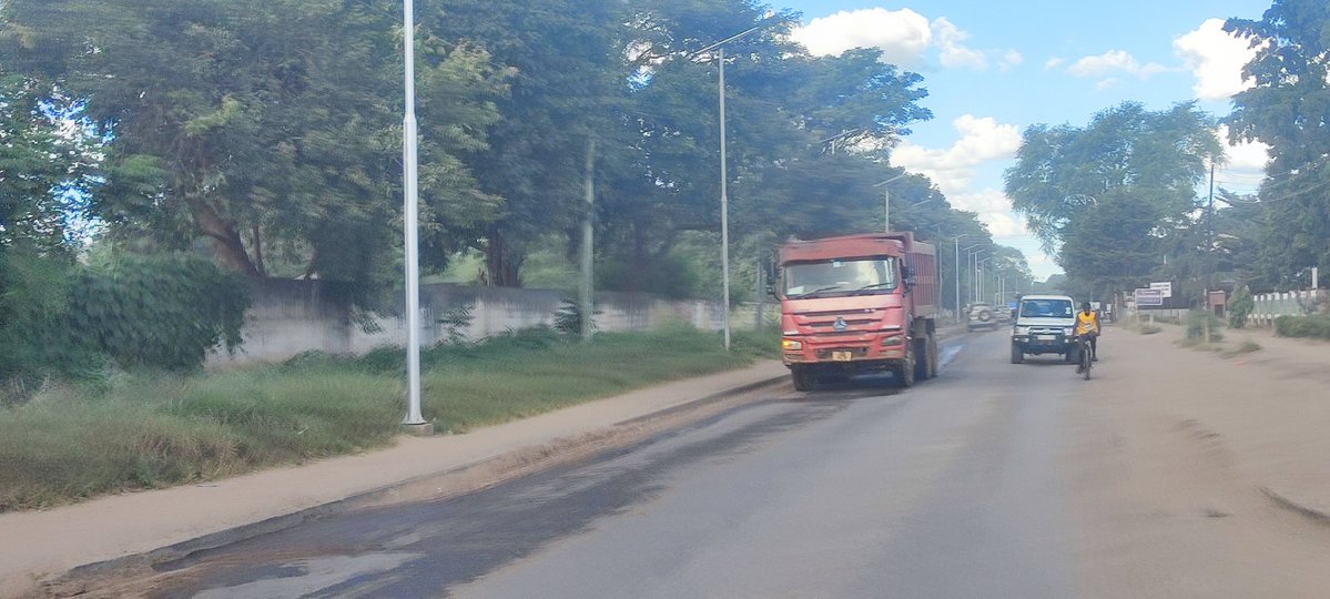 Stehaufmännchen 🇿🇲🇵🇸🕊️🇪🇺 tweet media