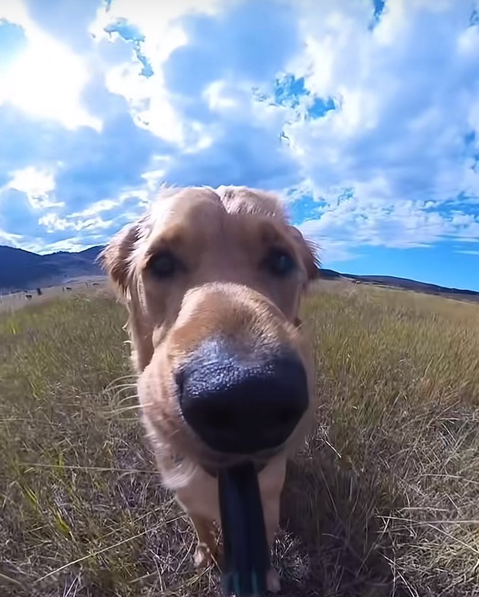 เจได (slow) tweet media