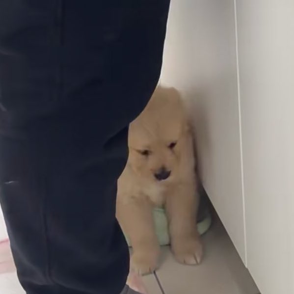 เก้ารัญชน์ tweet media